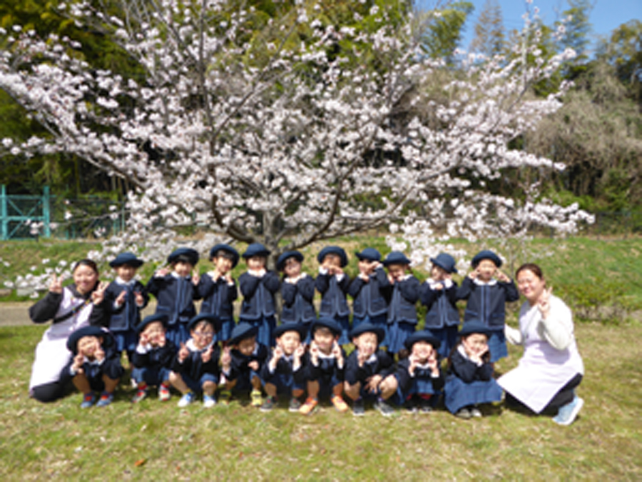 保護者様専用ページ：はと組集合写真（桜）