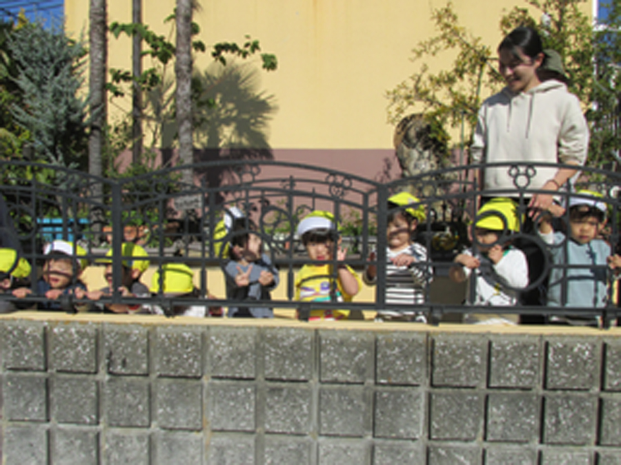 保護者様専用ページ：ひよこ組11月の園写真