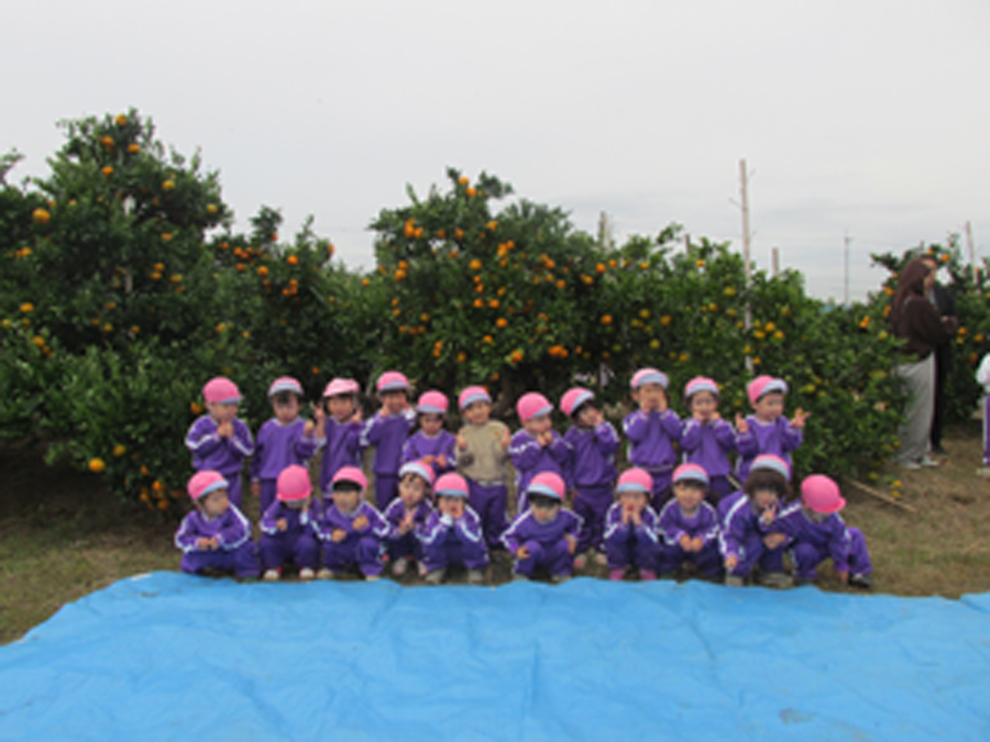 保護者様専用ページ：つばめ組11月の園写真